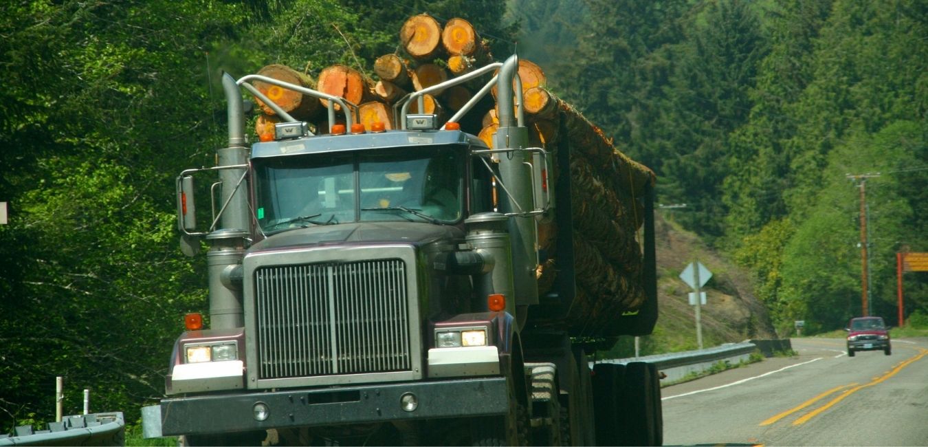 commercial logging truck
